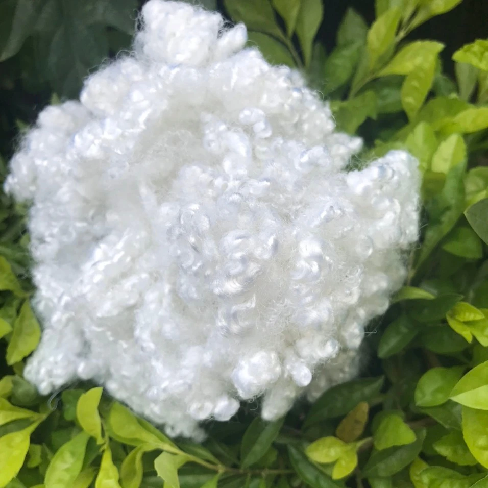 Hollow Conjugated Siliconized Polyester Staple Fiber HCS  white 7D64mm from largest fiber factory in Vietnam
