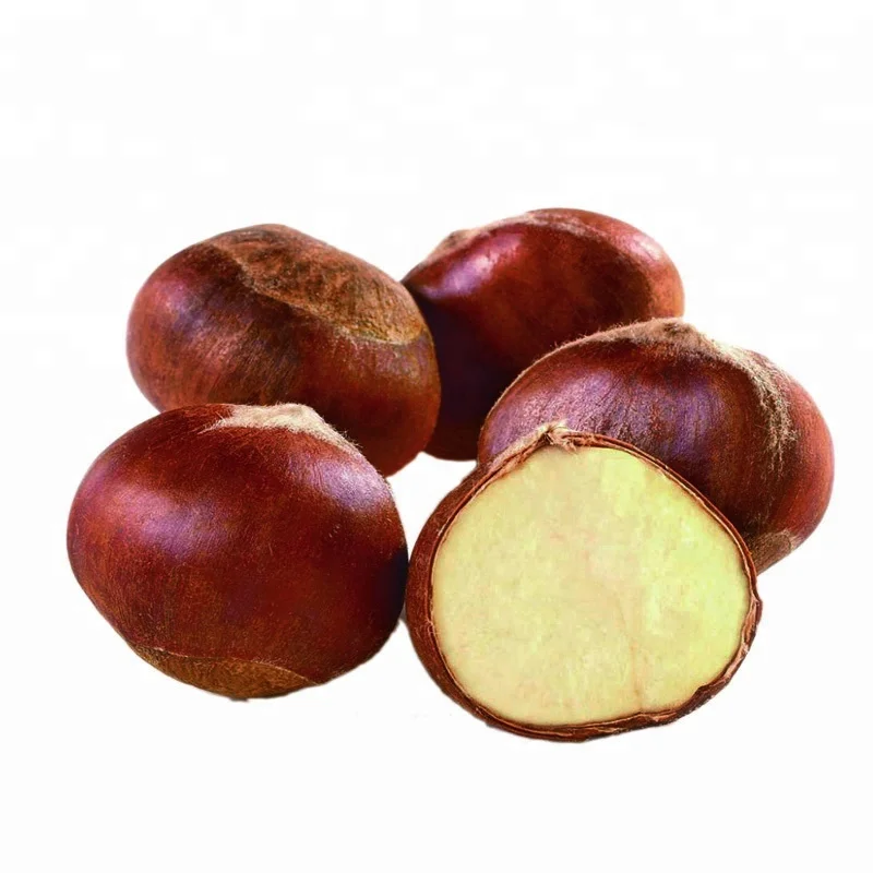 Высокое качество, свежий стиль, турецкий каштан, распродажа