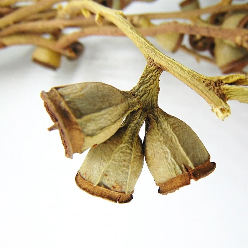 berries wholesale berries flower bouquet for wedding table centerpieces Eucalyptus fruit