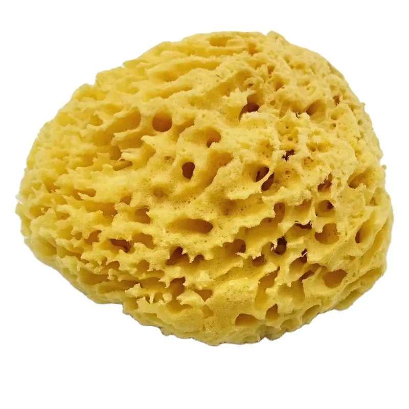 Lonx Sea Foam Sponge Organic Customized Packaging Natural Sea Sponge Wholesale Greece Natur Schwamm