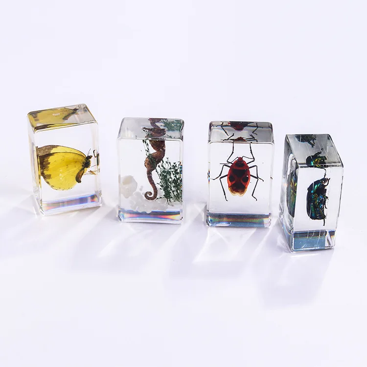 Transparent Acrylic Handmade Resin Crafts Crystal Paperweights Resin Craft For School Teaching