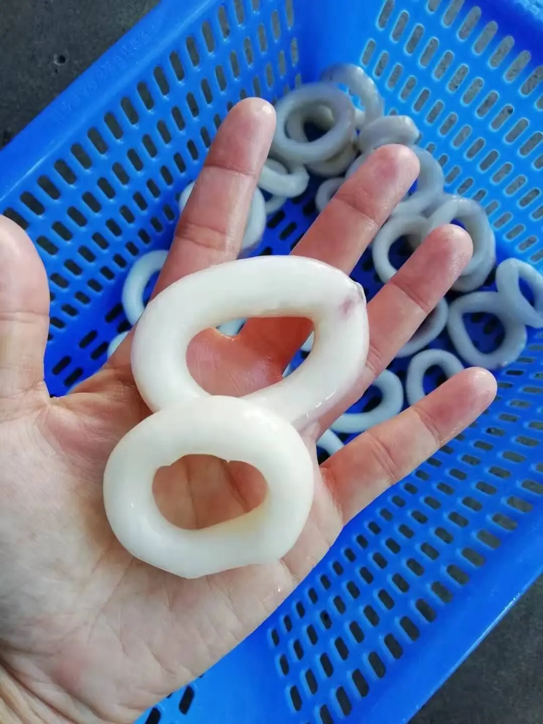 Frozen Squid Ring With Skin on Giant Peru Calamari Rings Crumb Todarodes Gigas IQF/BQF White