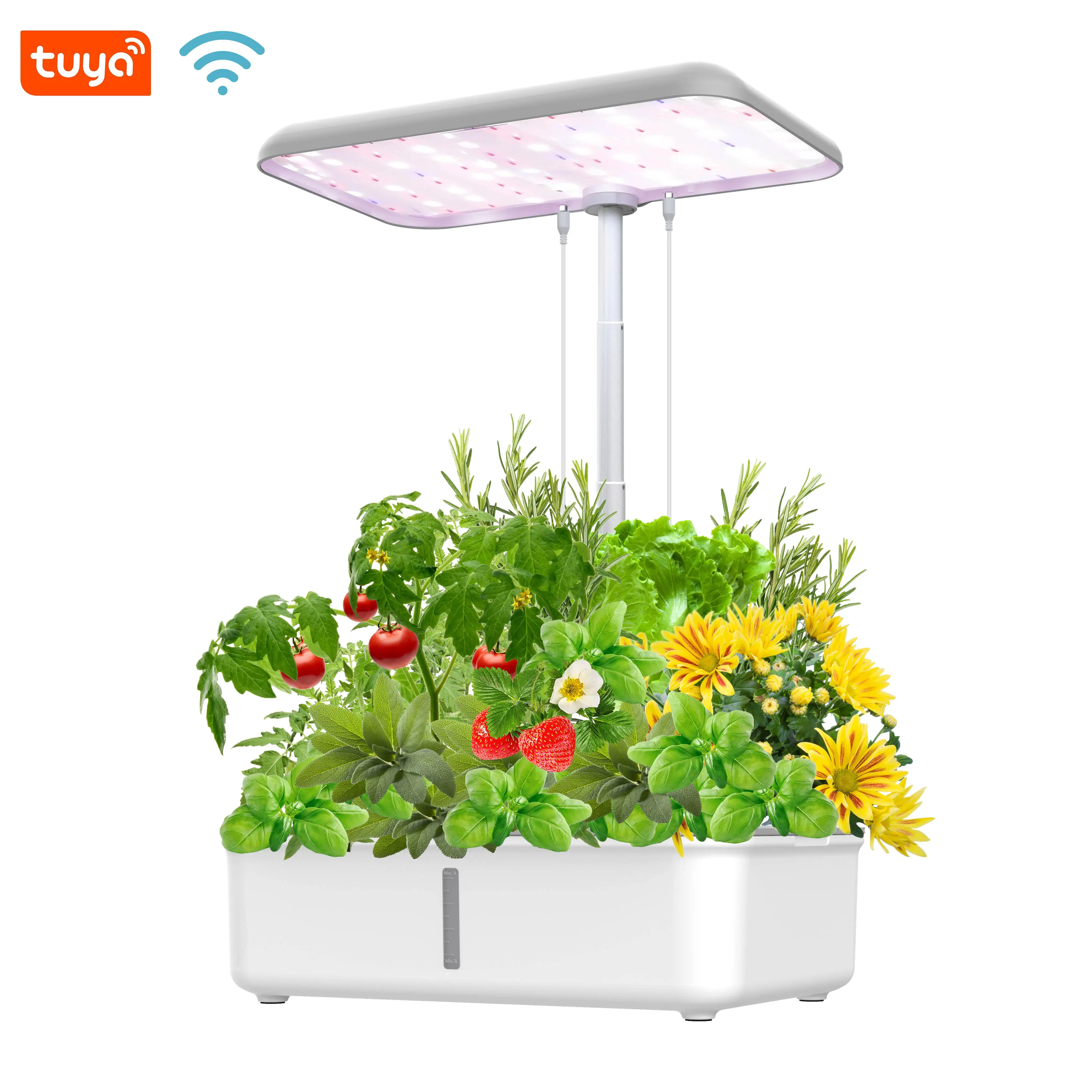 Wholesale auto indoor planting lettuce tomato apartment WiFi voice control Alexa smart grow light hydroponics systems