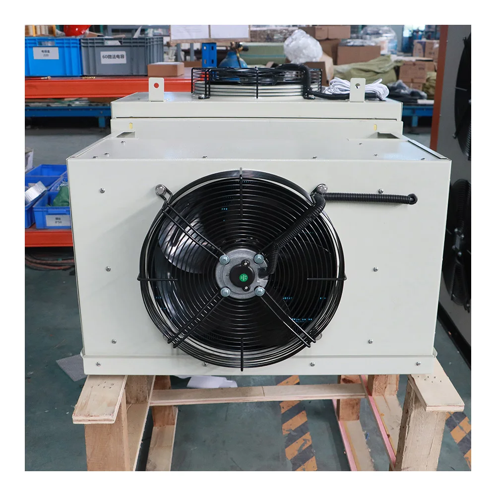 Best Selling Chiller Cold room for icecream storage wall mounting type  mono block system Brand Compressor Cold room