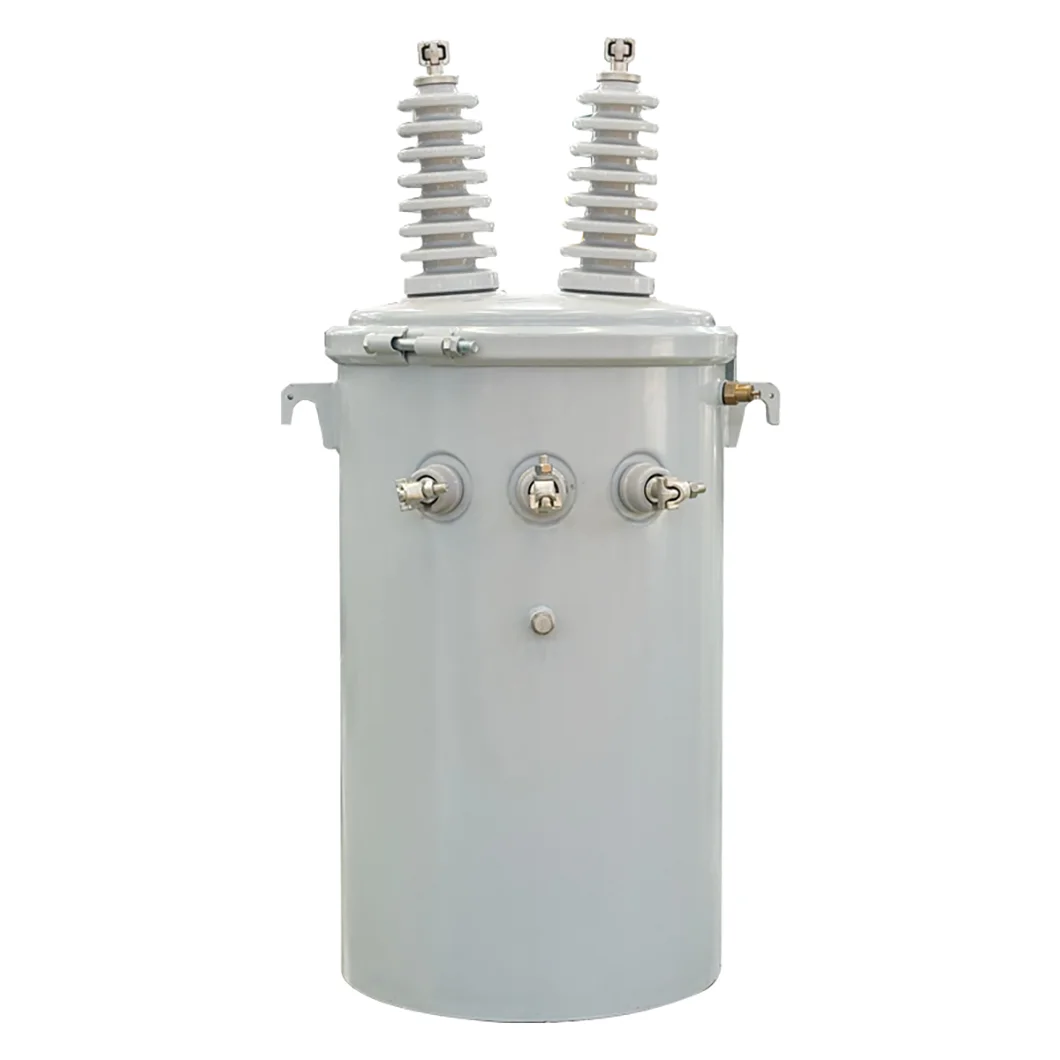 Versatile pole-mounted transformer, 13.2kv input, 25-167kva, step-down to various secondary voltages