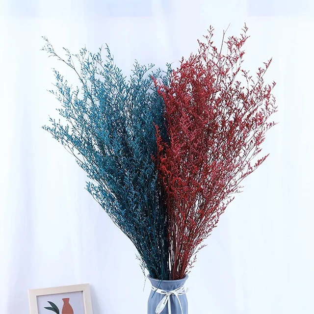 Caspia Preserved Flowers Limonium Stems Dried Flowers Craft Supplies Floral Home Wedding Decor Florals for Vase DIY Flowers