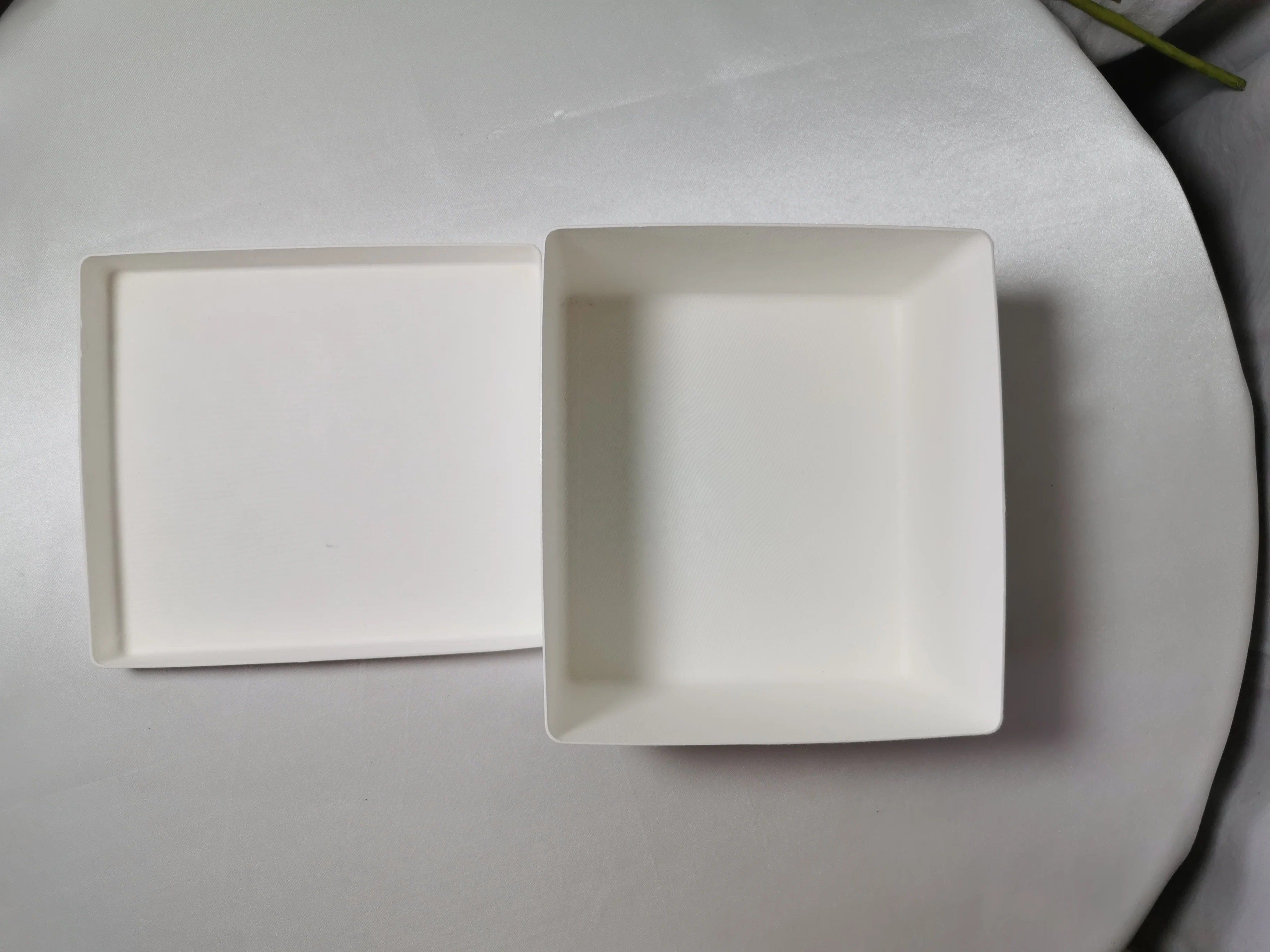 New Product Disposable Biodegradable Recycled Molded Paper Pulp Environmental Material Bagasse Pulp Tray