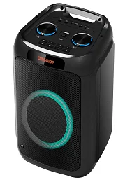 Double 8 Inch Speaker Trolley Portable Speaker Outdoor Portable Bt Speaker With Led Display and colorful led flashing light
