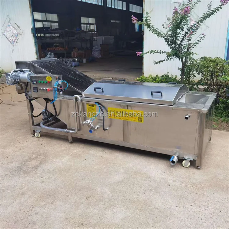 Industrial electric steam corn grain sweet corn green beans Carrot mushroom fruit and vegetable cooking and blanching machine