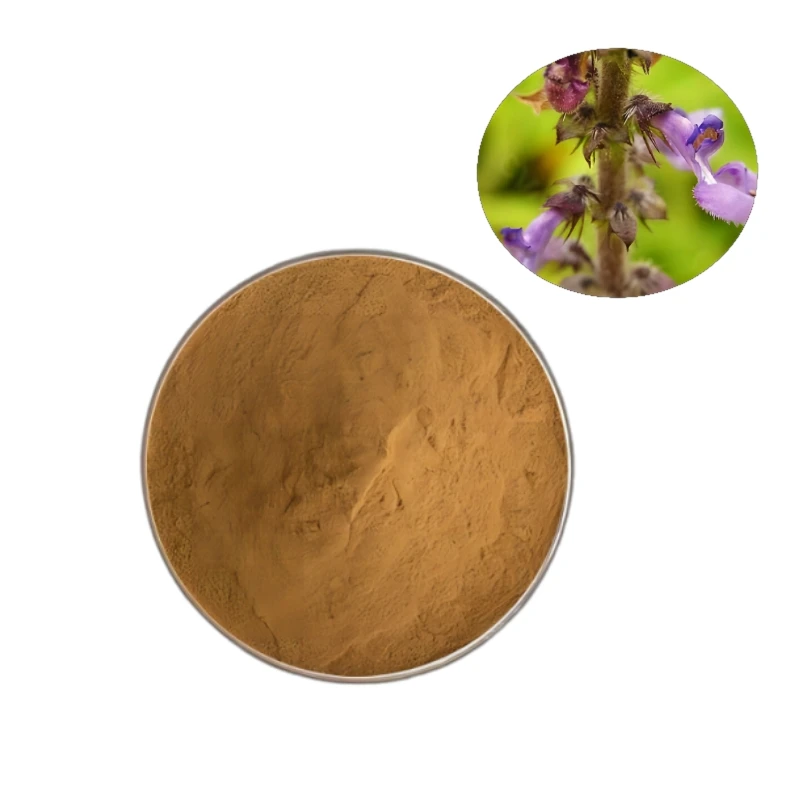 Производство прямая продажа Чистый Экстракт Coleus Forskohlii Forskolin