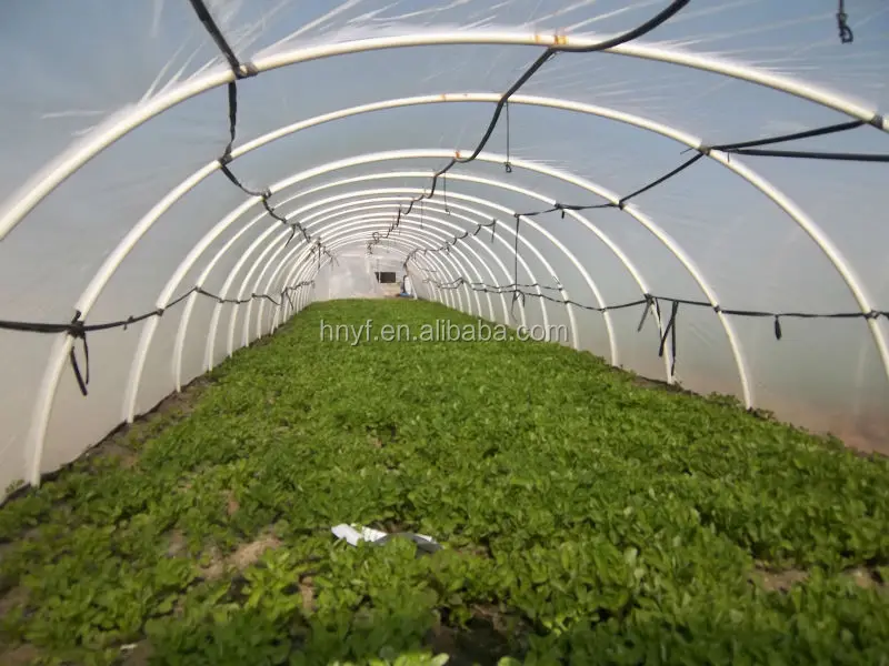 Bags Grapes Fruit Cover Protection Plastic Bag Anti UV Low Cost Wholesale for Vegetable 50mic in Stock Single Span Tunnel