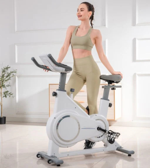 Cardio Training Professional Electric Magnetic Spin Bike Home Bicycle Workout Gym Exercise Spinning Bike
