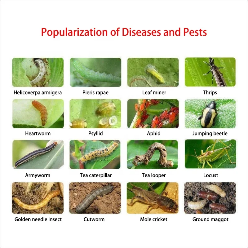 agrochemicals and pesticides in chemical  imidacloprid technical 98%tc,97%tc,95%tc