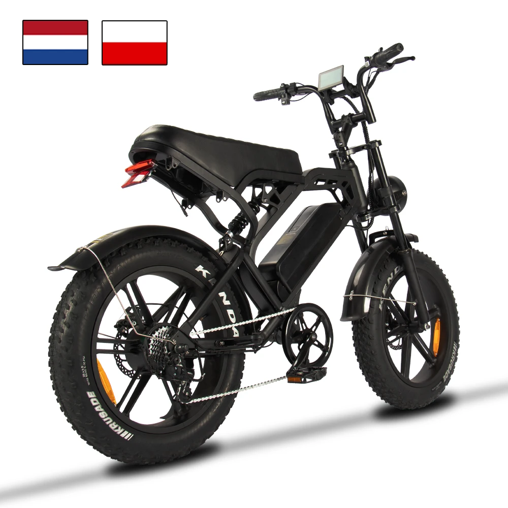 Factory Price Buy Electric Chopper Bikes 250W 750W 1000W Electric Bike 1000W 25km/h Bicycle Electric Bike From China