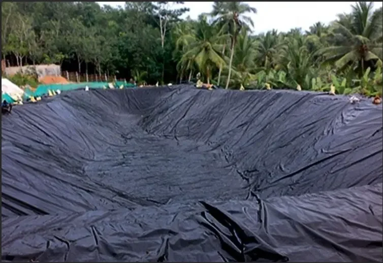 Building and Decorating Use Construction Film 6mil China Factory Hotsale Plastic Polyethylene Roll Poly Color Customizable