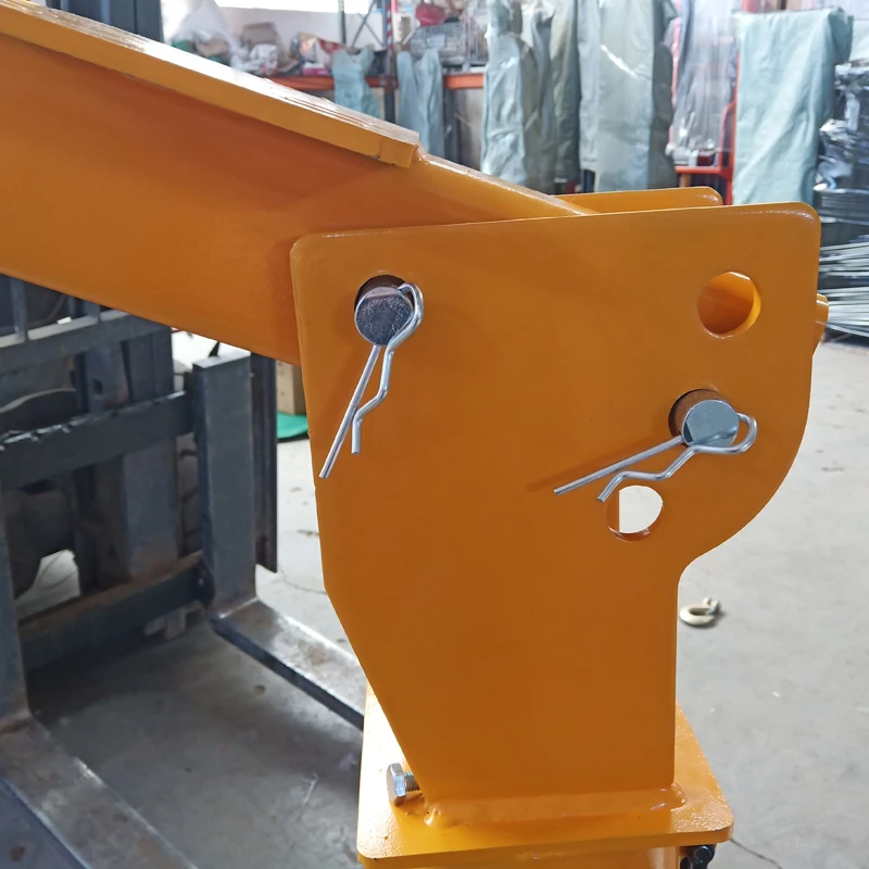 Mini Lifting 1000 Electric Small Mini Truck Crane For Car Pick Up Goods Manufacturer Crane Arm