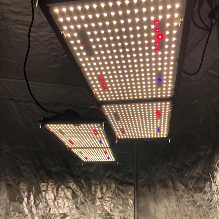 Meijiu Qb 240 расти светодиодный УФ ИК FOLUX-X240H2 lm301H 240W V3 3500 K двойной чип, LED-лампа для сельского хозяйства