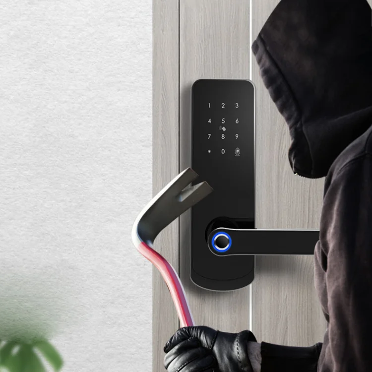 Alarm Biometric Key Card Password Electric Mortise Combination Safety Cerraduras Para Puertas Door Handle Lock Smart Locks