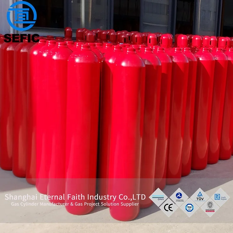 Large Size DNV Gas Cylinder 200bar Seamless Steel 45l 47l 50l 52l 60l Oxygen Nitrogen Argon Co2 Tank