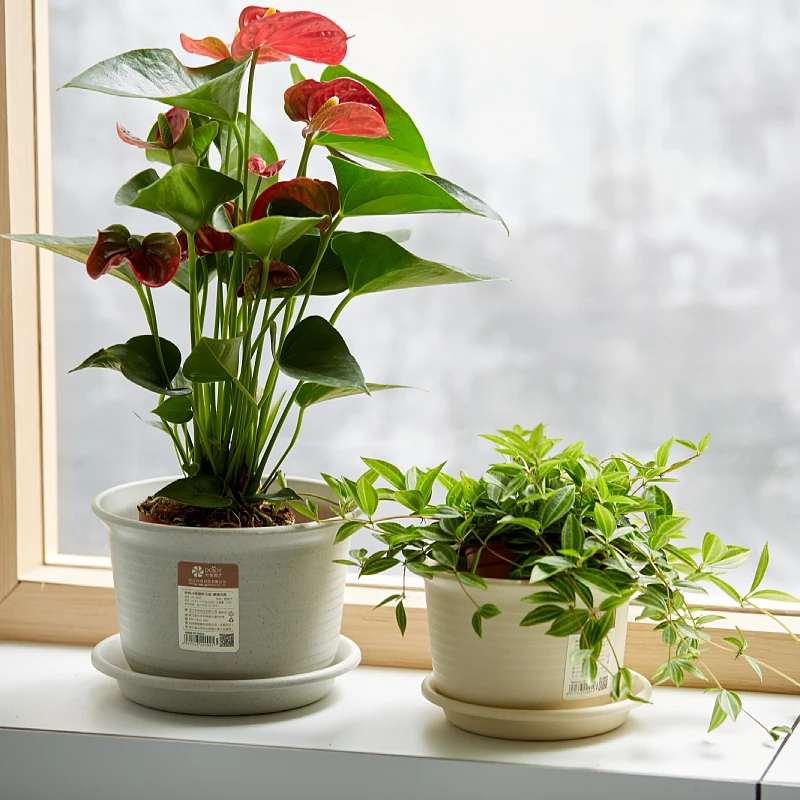 Docarative Garden Small Tree Planter Flower Pot