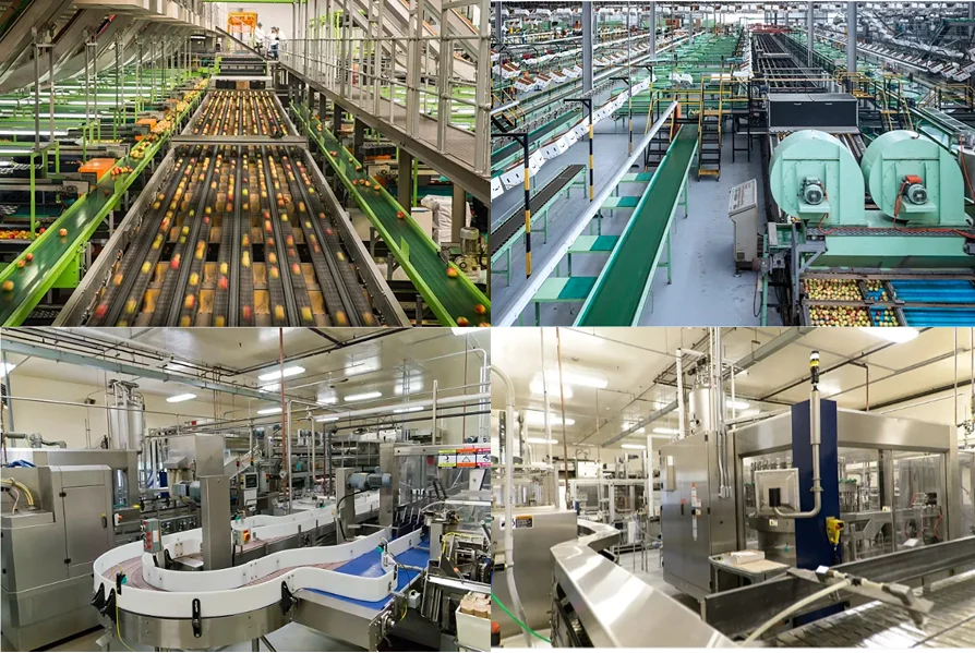 ketchup tomato paste Private Label Accepted Halal Wholesale Bulk Tomato Ketchup Sauce