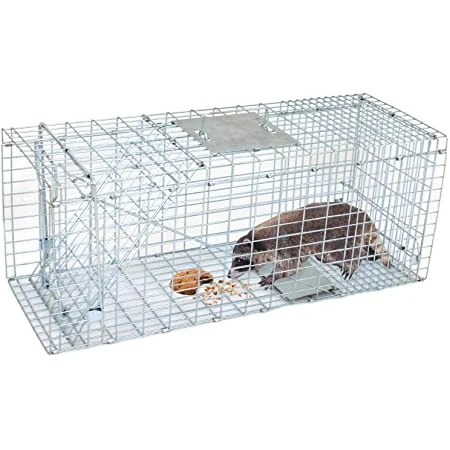Pest Control Rat Traps & Mouse Traps for 10 x 3 x 3 inches