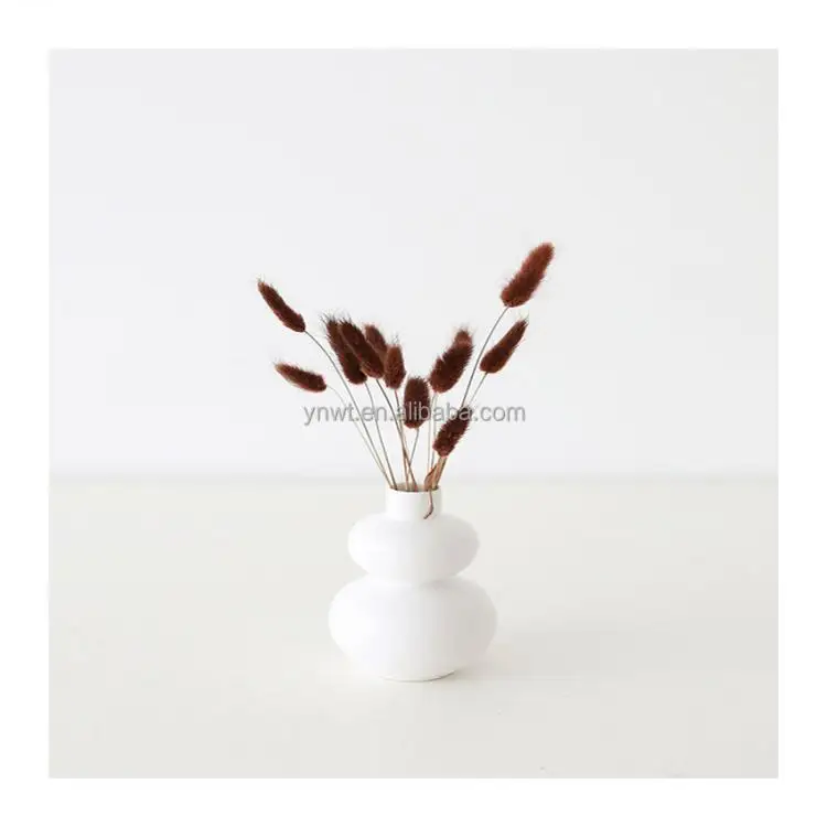 Dried flower arrangement bunny tails dried pampas white ruscus bundle