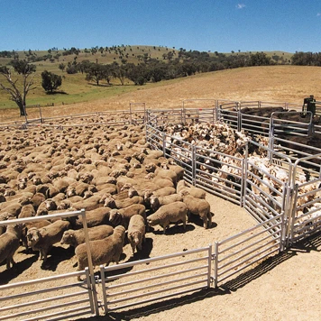 Anstralia standard for High quality with best price goat sheep panels