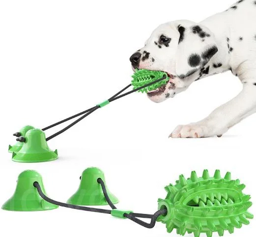Amazon New Arrival Double Suction Cup Cactus Molar Rod New Dog Toy Chew On Sale