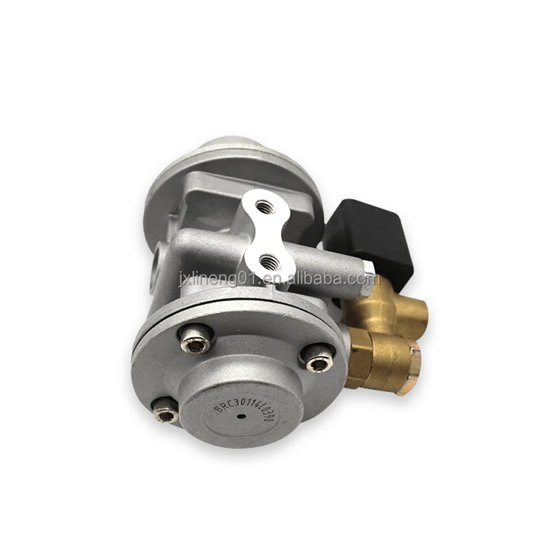 High Quality BRC GAS REDUCER FOR CNG CARS AUTOGAS CONVERSION KIT