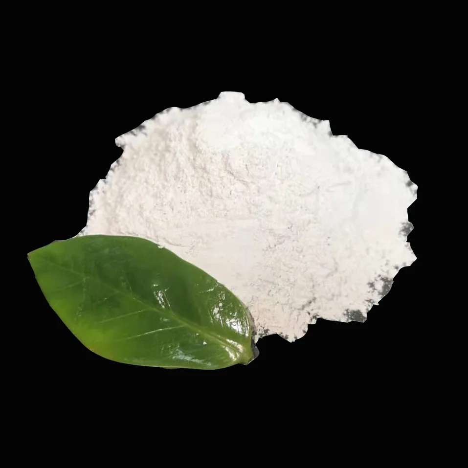 China Lime Plant supply Wholesale White Hydrated Lime powder CaOH2