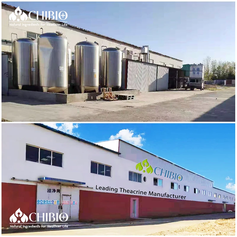 favorable Price Alginate Oligosaccharide Powder Raw Materials for agriculture