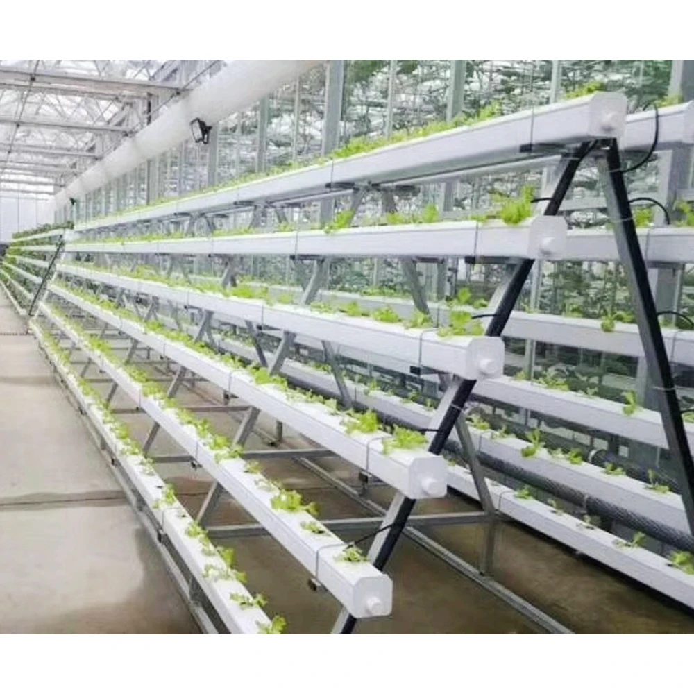 Вертикальная ферма Hidroponia ПВХ аэропонного Nft нфт гидропонной системы для клубника