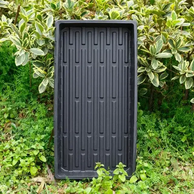 Agriculture 1020 Plastic Seedling Tray Micro Greens Tray Seed Sprouter Tray with Hole and without Hole