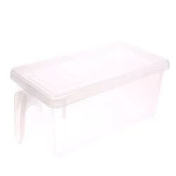 Refrigerator Preserving Container Freezer Drawer Storage Box Vegetable Fruit Fresh Keeping Box Plastic Egg Crisper H1269