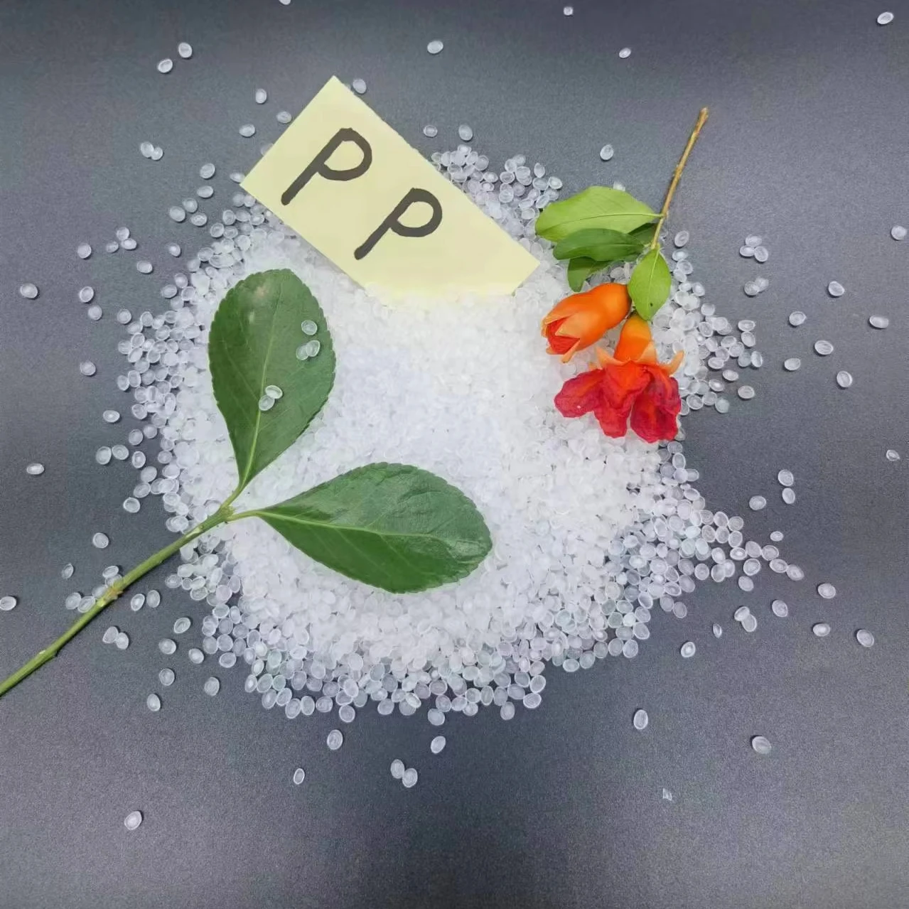 Polypropylene particles PP Plastic particles PP particles 5090T door to door
