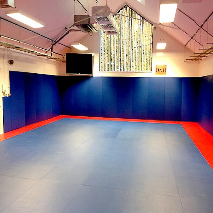 2020 Wall Foam Padding MMA Wall Padding Bouldering Crash Pads for Gym Training