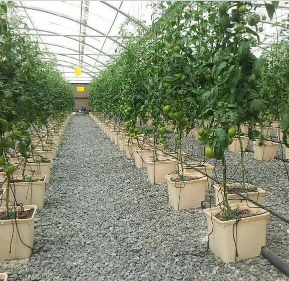 Plastic Hydroponic Grow Pot Tomatoes Dutch Bucket Planting System