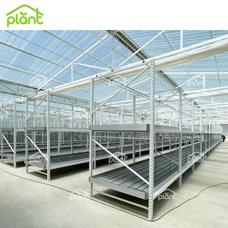 Greenhouse Vertical Grow Racks 2 Tier Rolling Bench for Plants