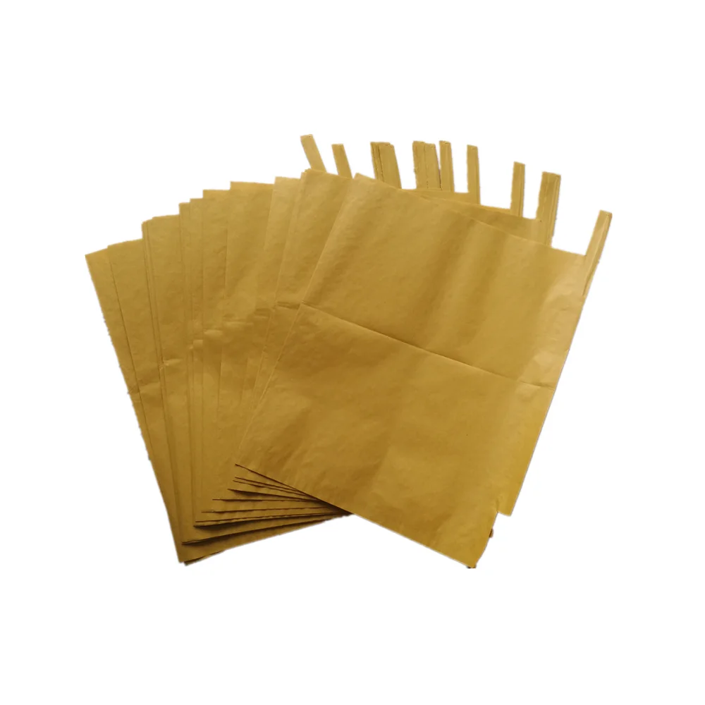 Wholesale customized waterproof  fruit growing protection wrapping mango paper bag grape bags for fruit grow