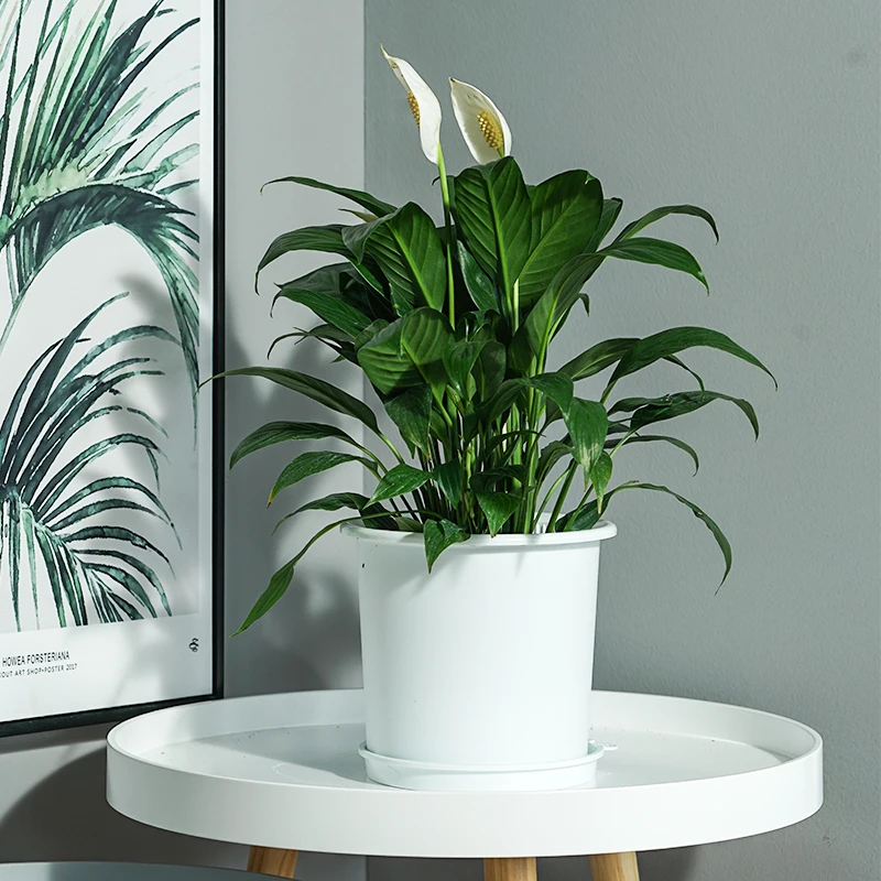 High Quality PP Plastic Garden Pots Indoor/Outdoor Planting With High Return Purchasing Rate