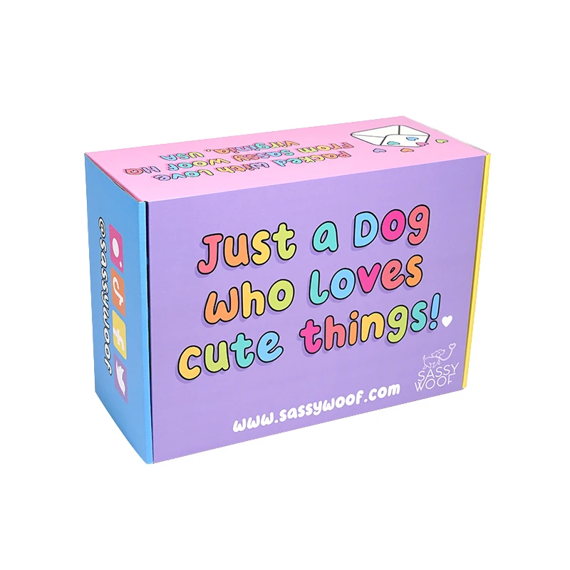 Shipping Corrugated Mailing Rigid Box Customized Full Printing Logo Pet Dog Cat Supplies Packaging Gift Present Paper Boxes Flat