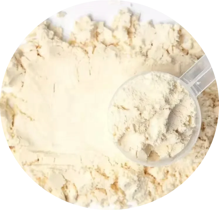 OEM/ODM Whey Protein Isolate Naturally Flavored Gluten Free Whey Protein Powder