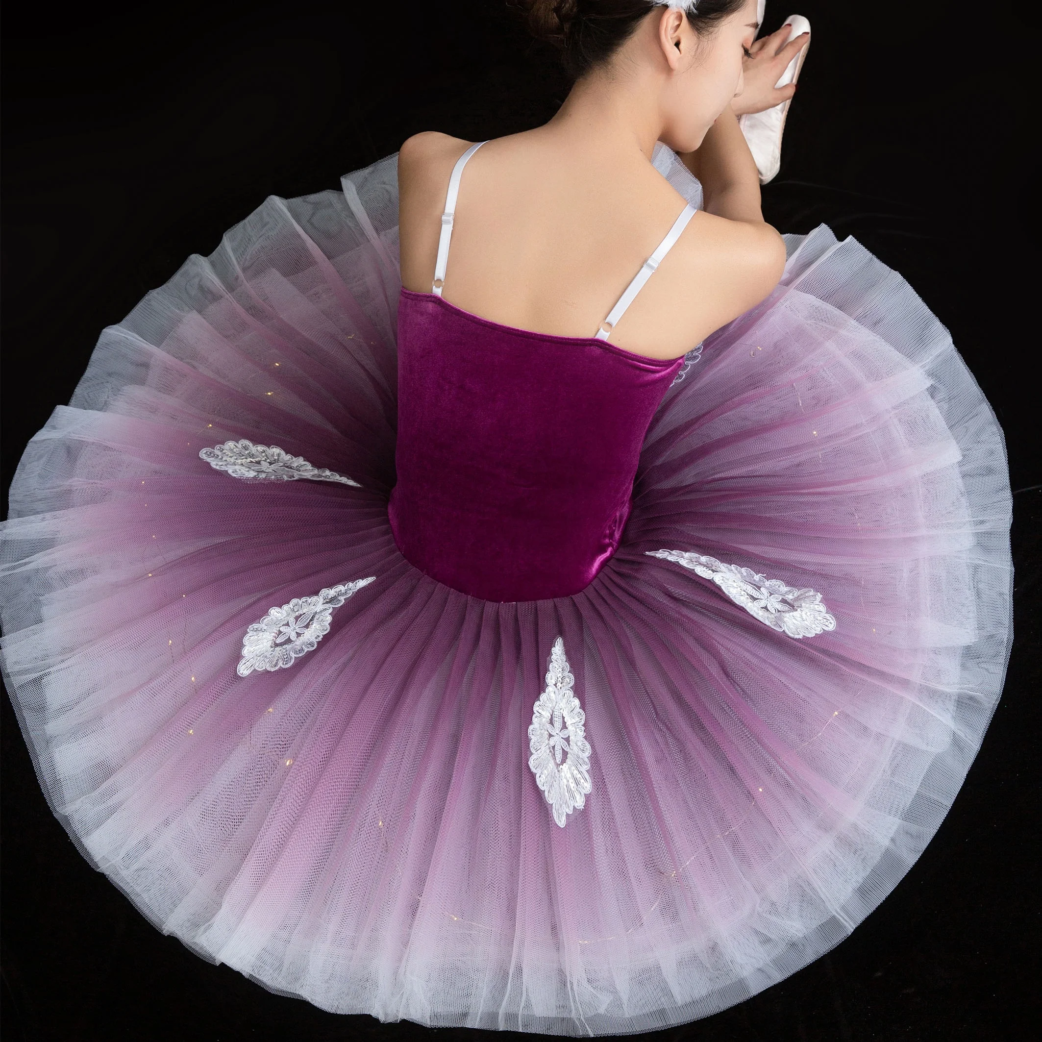 Swan Lake Ballet Dress purple Fluffy stage performance Dance Costume Embroidery  applique Tutu Dresses Training Dancewear