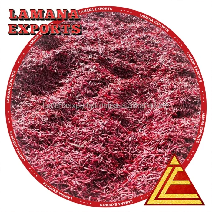 Chilli S17 Teja with Stem India Spicy Dry Red Chili Pepper Single Herbs & Spices New Crop - Dried Raw Stick 0.5% Max 3% Max 10%