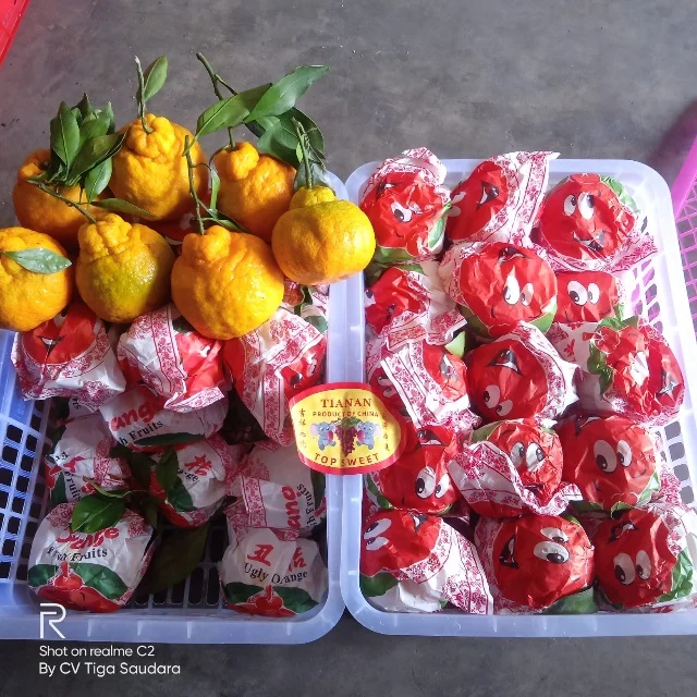 Wholesale China fresh citrus sweet tangerine mandarins