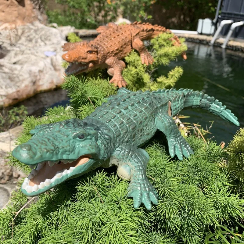 RC Crocodile (7)
