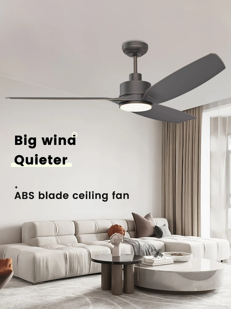 630074OB_03.jpg