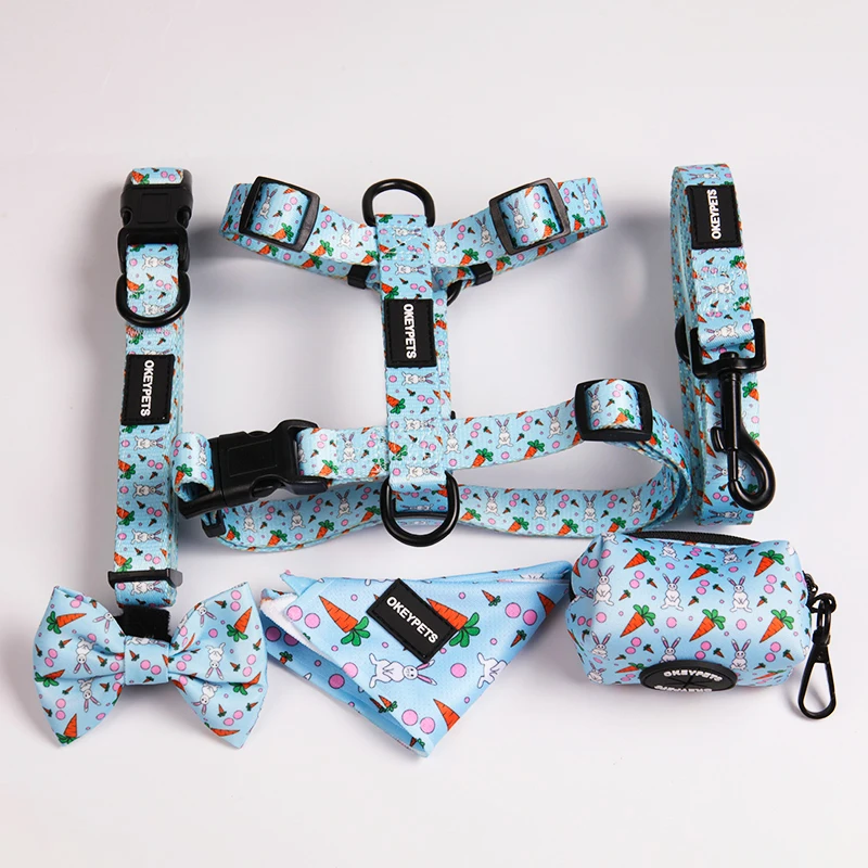 OKEYPETS Pet Supplies Hot Selling Personalized Dog Accessories Harness Simple Soft Puppy Harness and Leash Set
