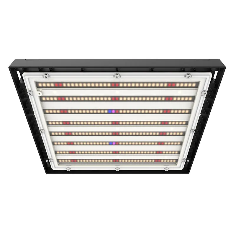 150W для США, Великобритании ЕС может склад LED COB сельскохозяйственная лампа полного спектра, зигзагообразную теплицу Лучший led Grow lights Крытый расти свет для посадки